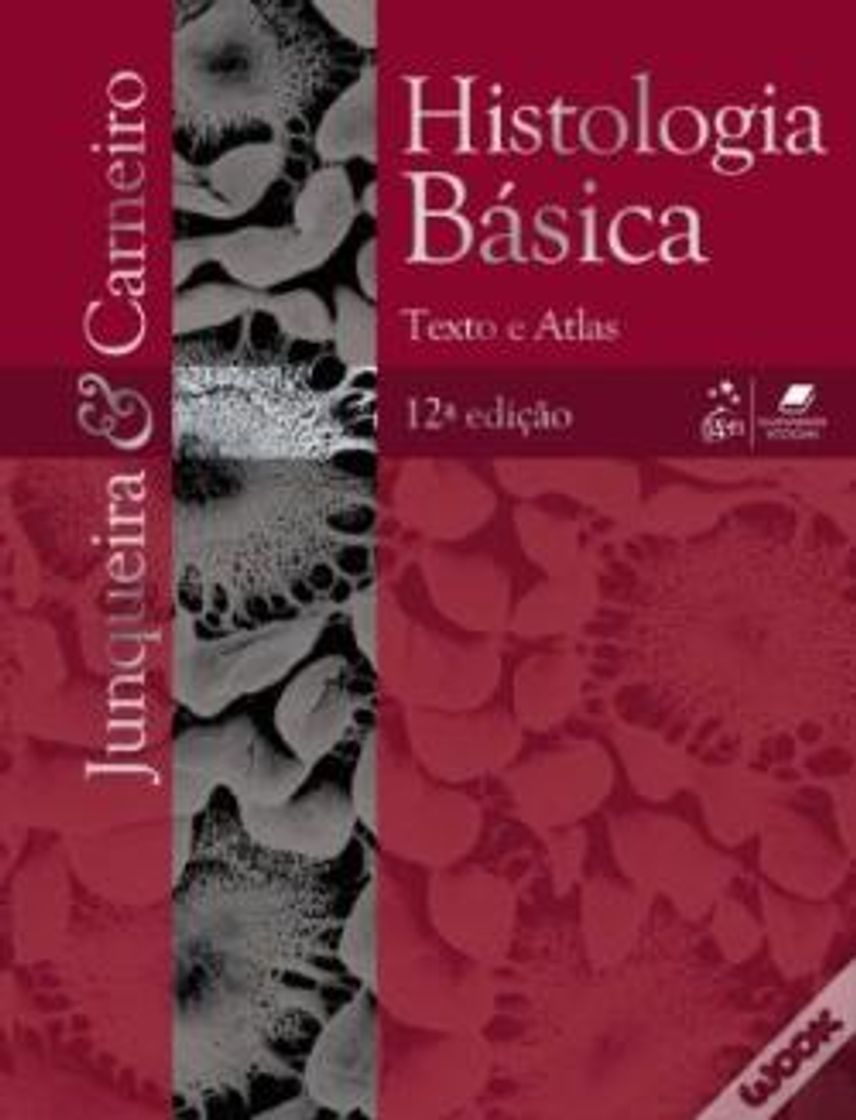 Book Histologia Básica 