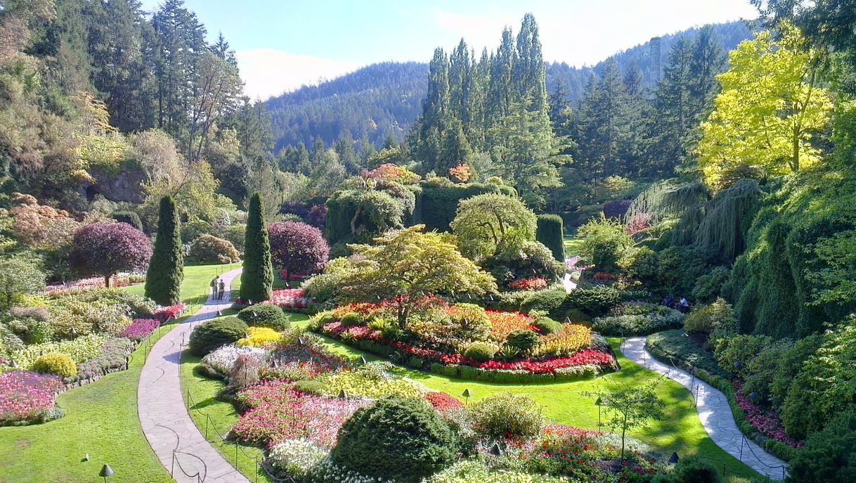 Lugar Butchart Gardens