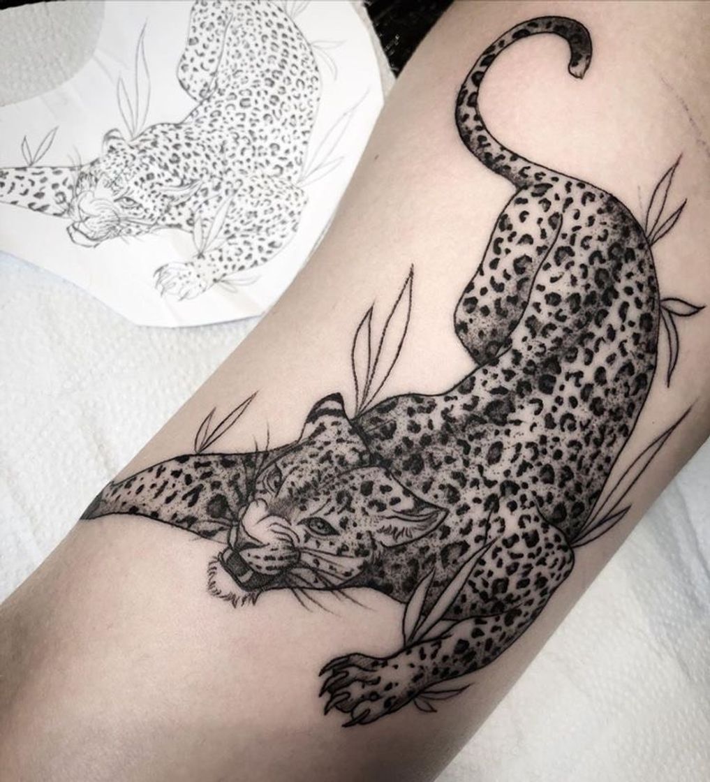 Fashion Tatuagem de animal 