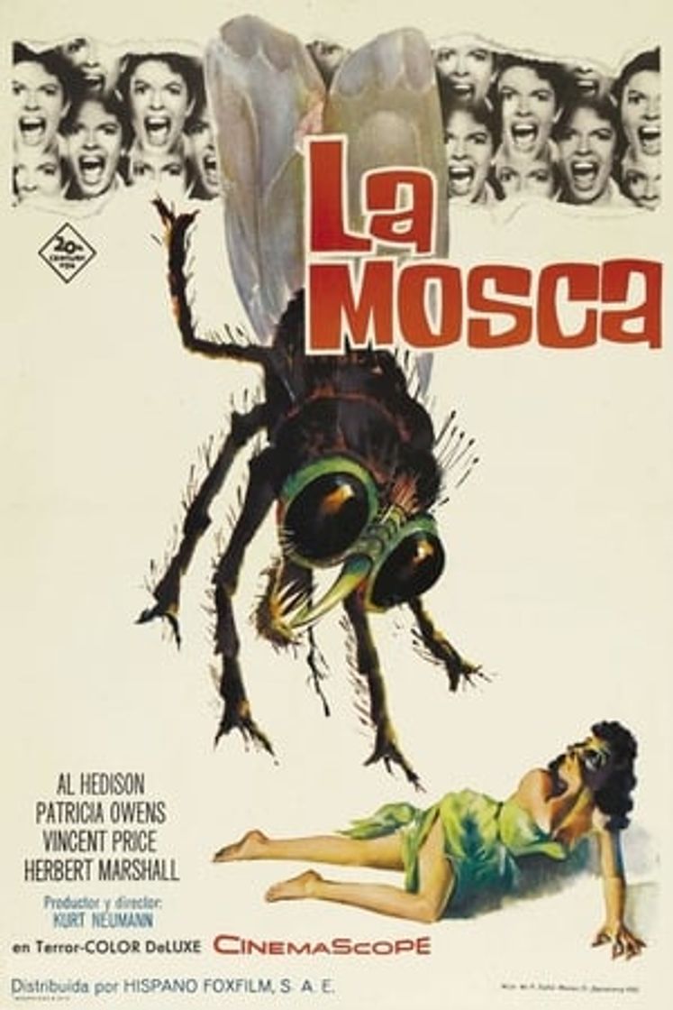 Película La mosca