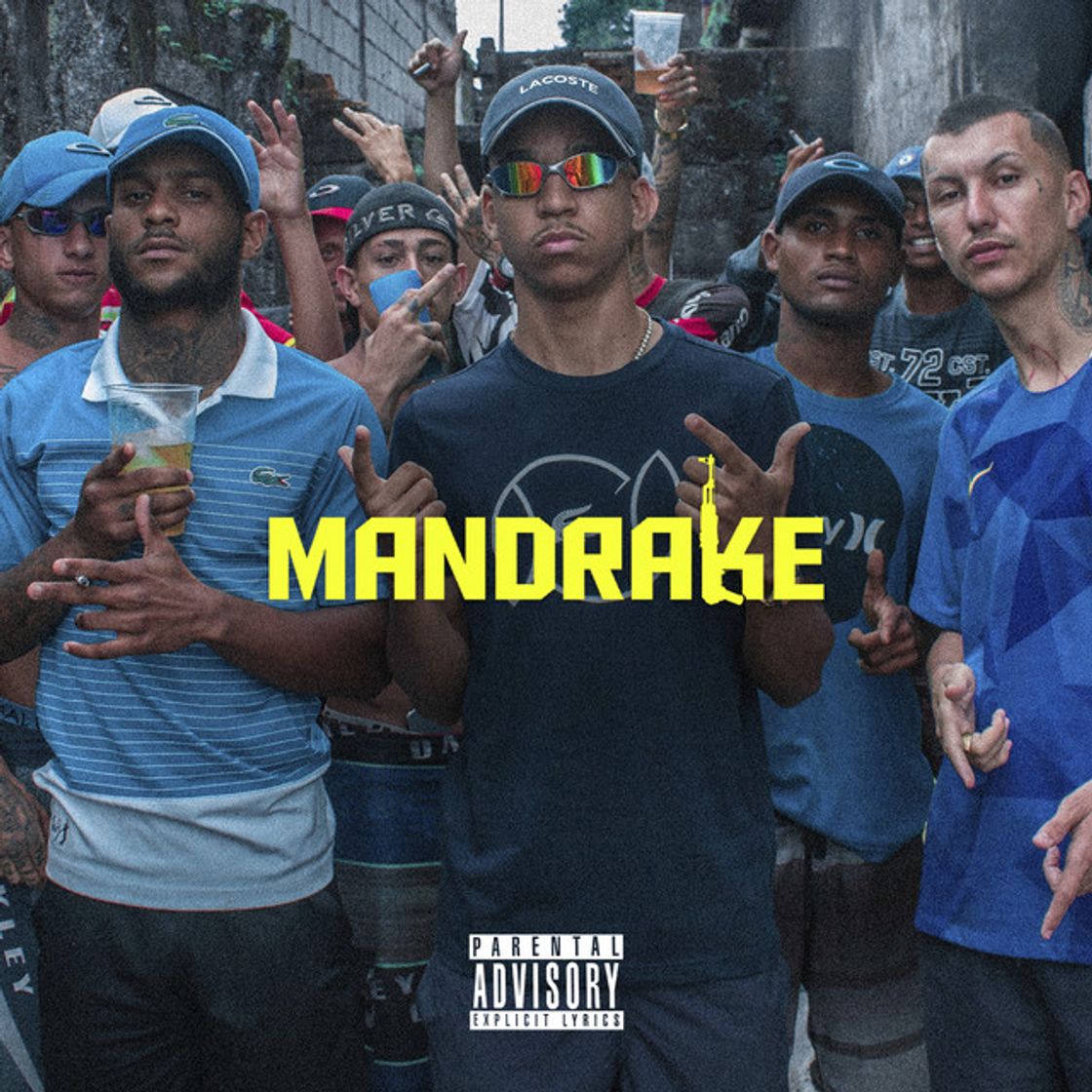 Canción Mandrake