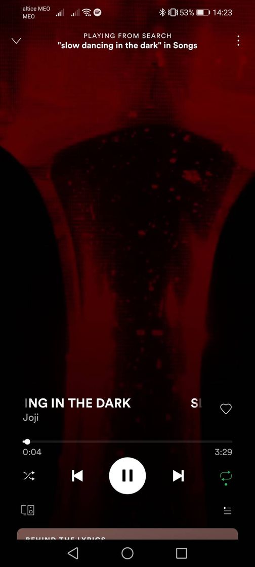 .Slow dancing in the dark. 