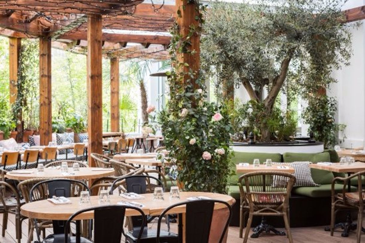 Restaurants Auteuil | Brasserie italienne | Rooftop | Paris