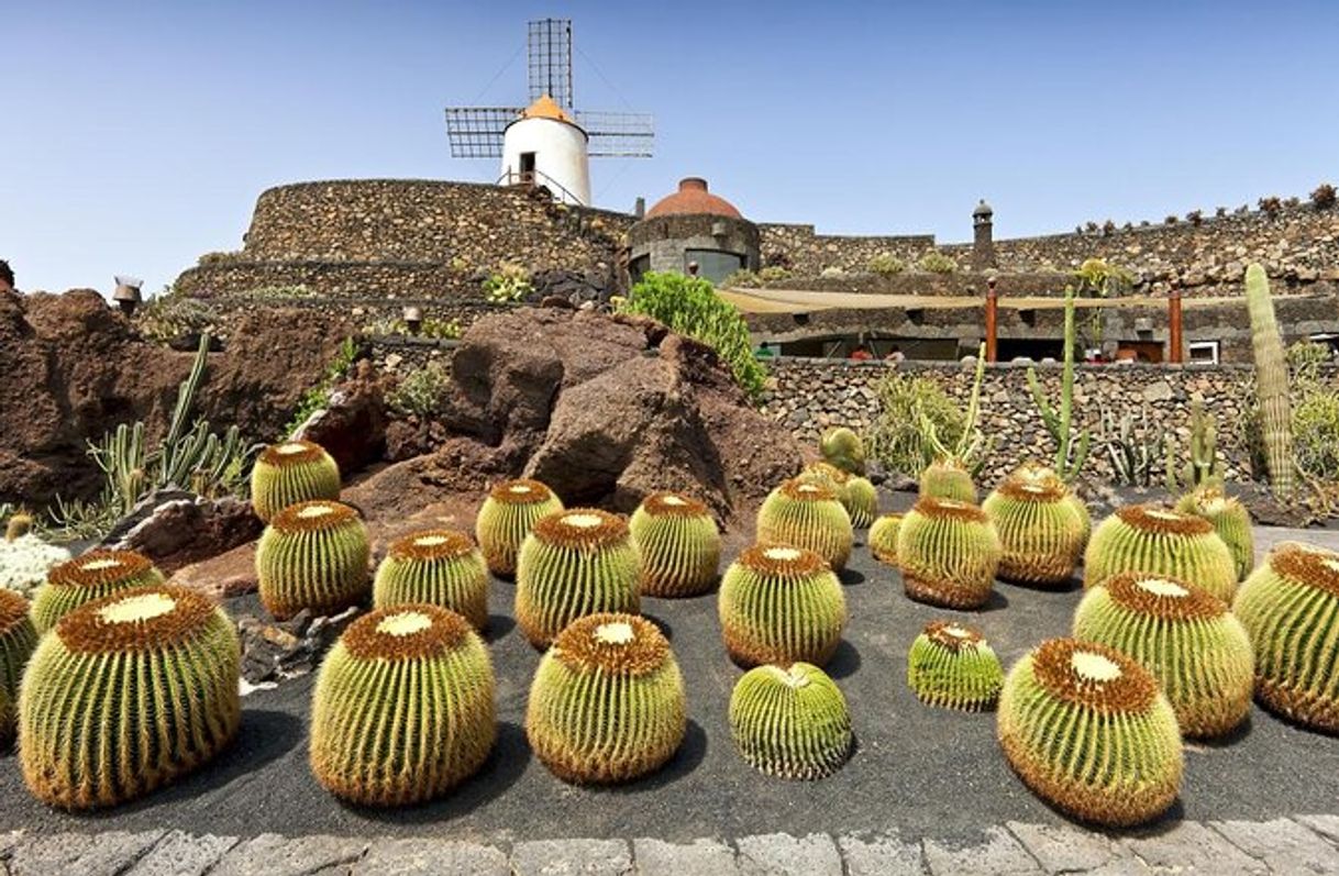 Jardín de Cactus de Lanzarote