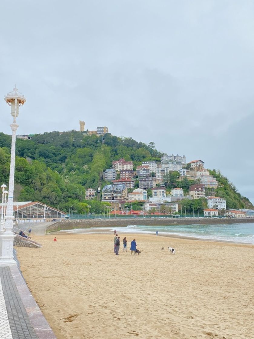 Place Playa de Ondarreta