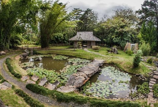 Jardín Botánico Lankester