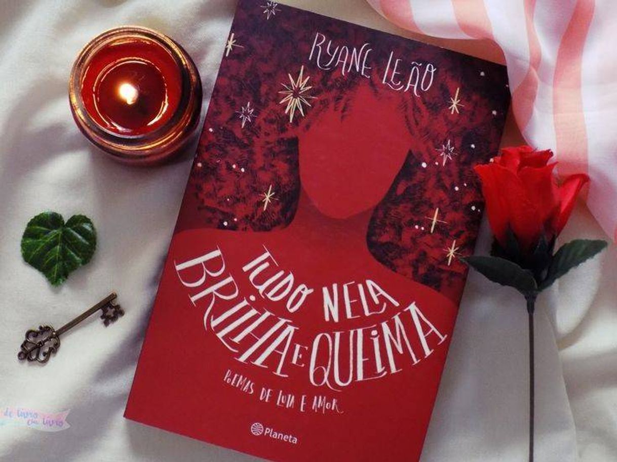 Book Tudo Nela Brilha e Queima - Poemas De Luta e Amor