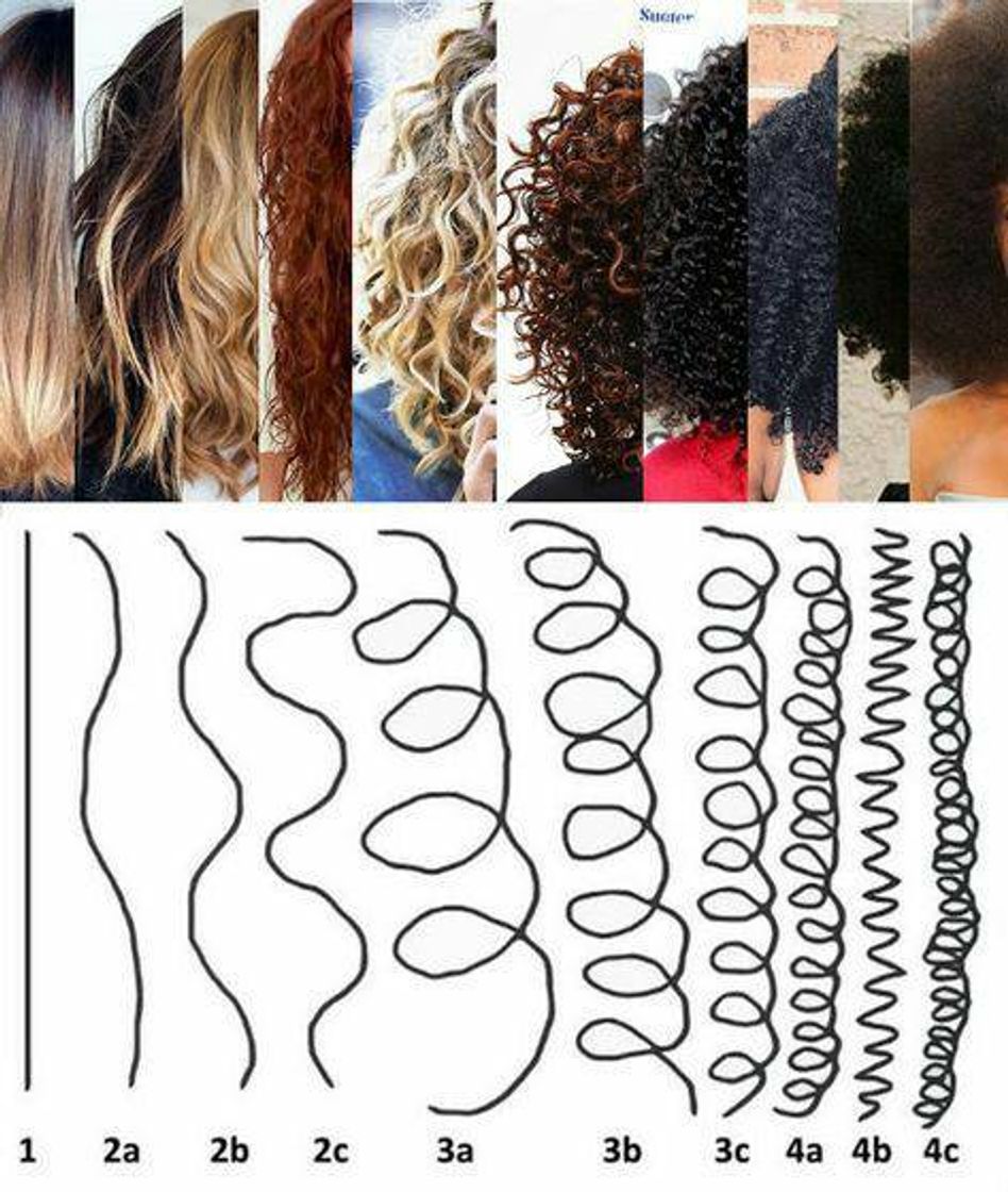 Fashion Tipos de cabelo 