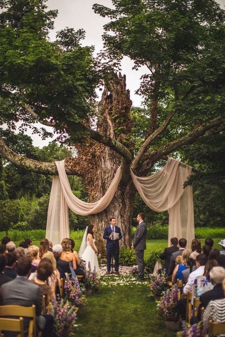 Lugar Casamento Bosque ❤️