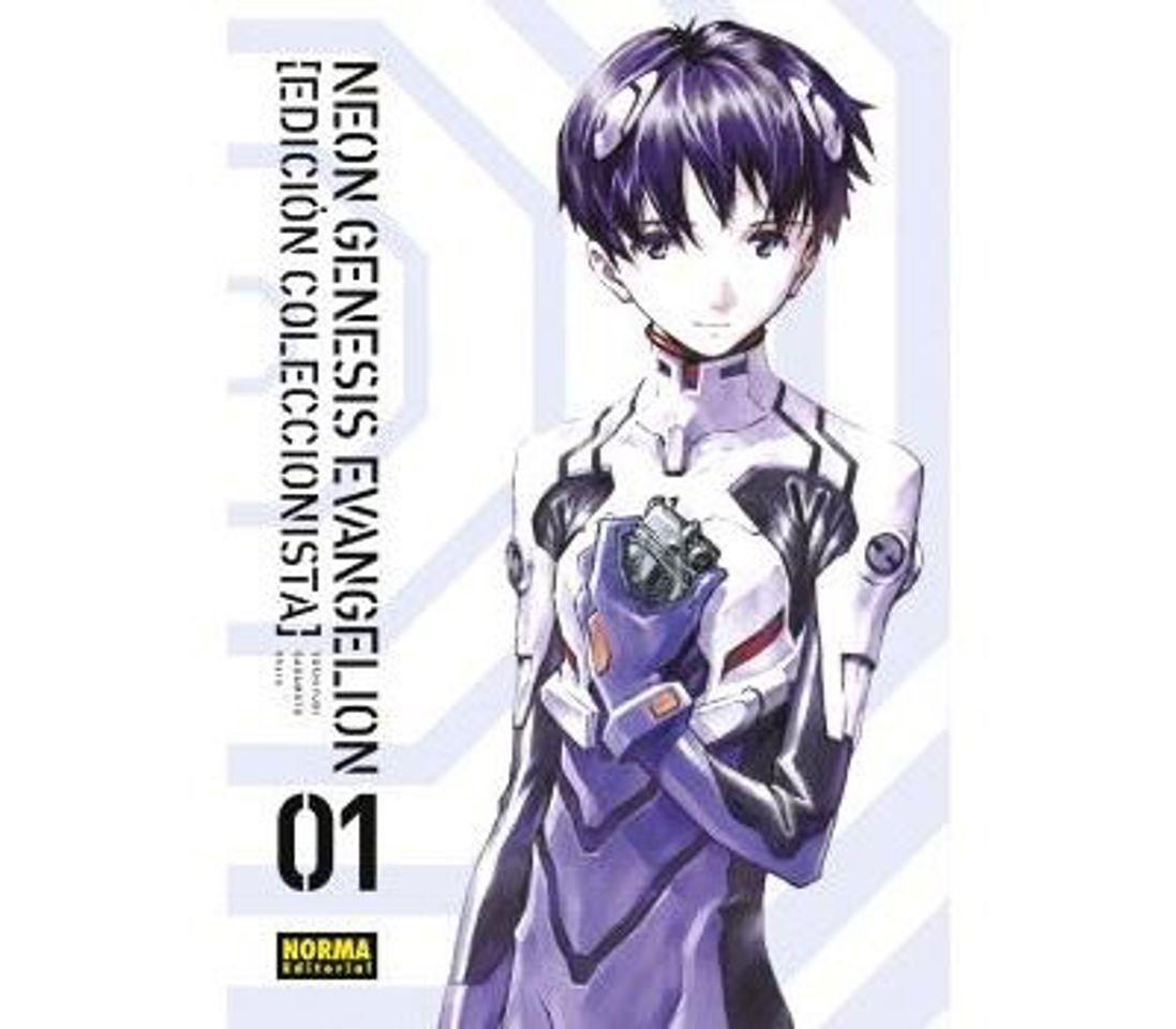 Book Neon genesis evangelion