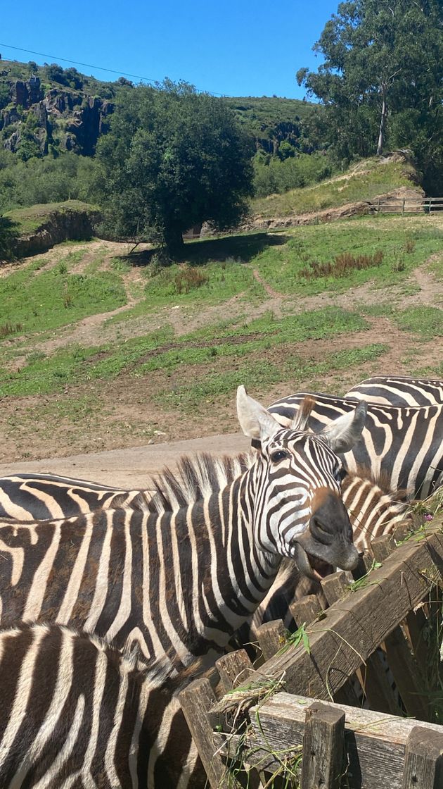 Lugar Parque de la Naturaleza de Cabárceno