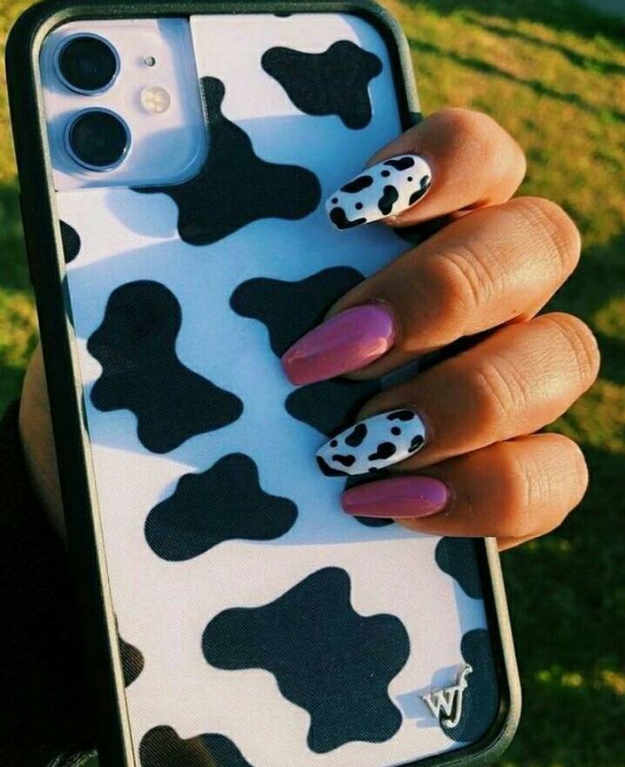 Fashion Vaquinha 🐄