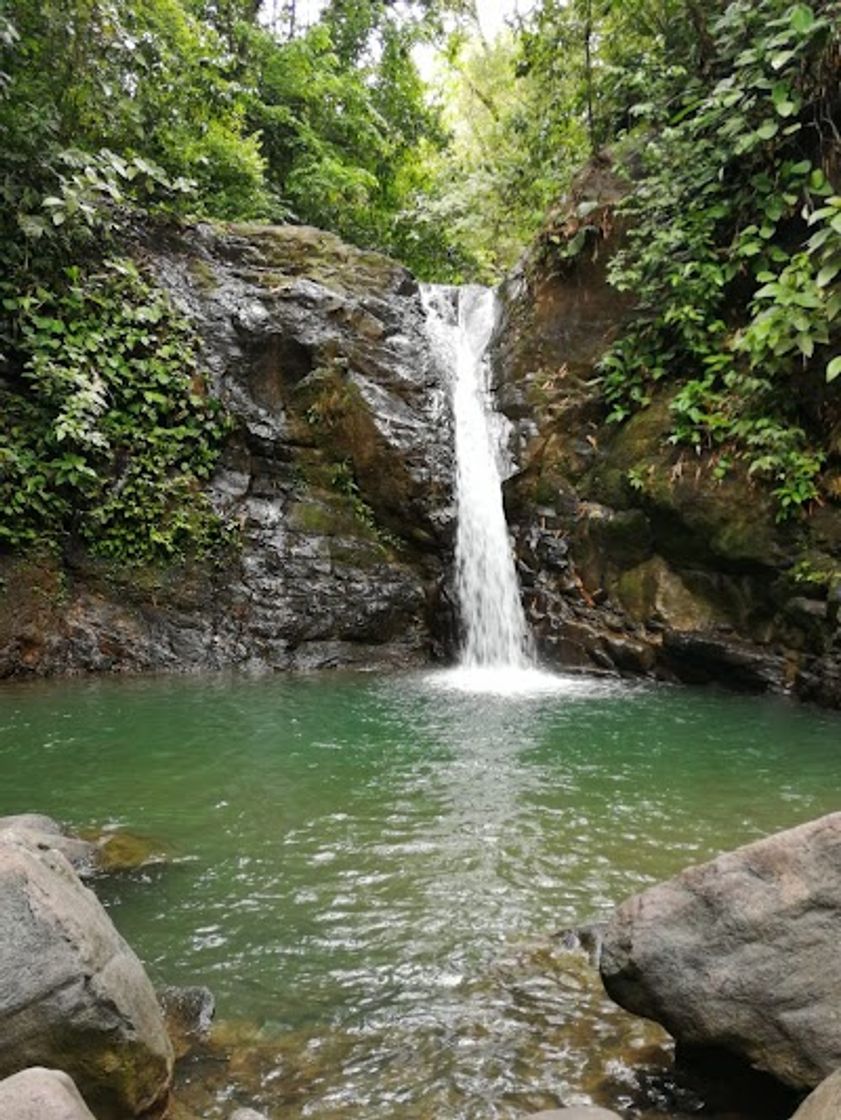 Lugar Catarata Uvita y Jardín de Mariposas