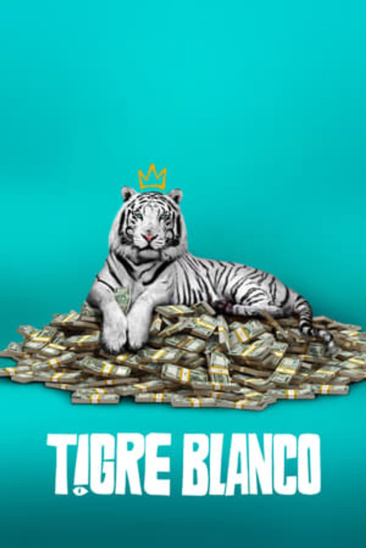 Película Tigre Blanco