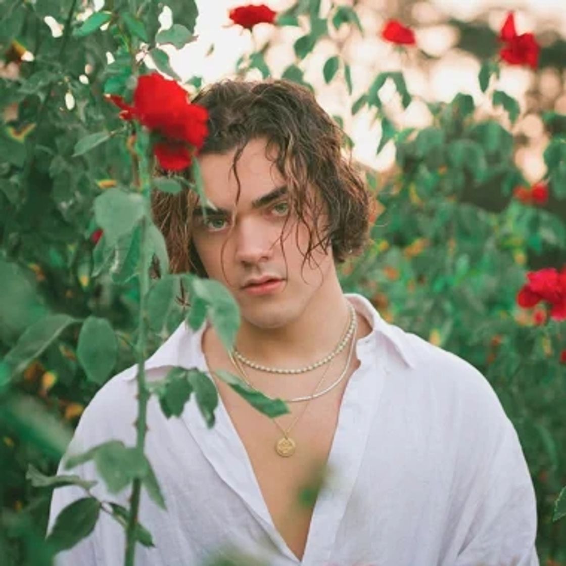 Canción Malibu (Miley Cyrus) - Alexander Stewart