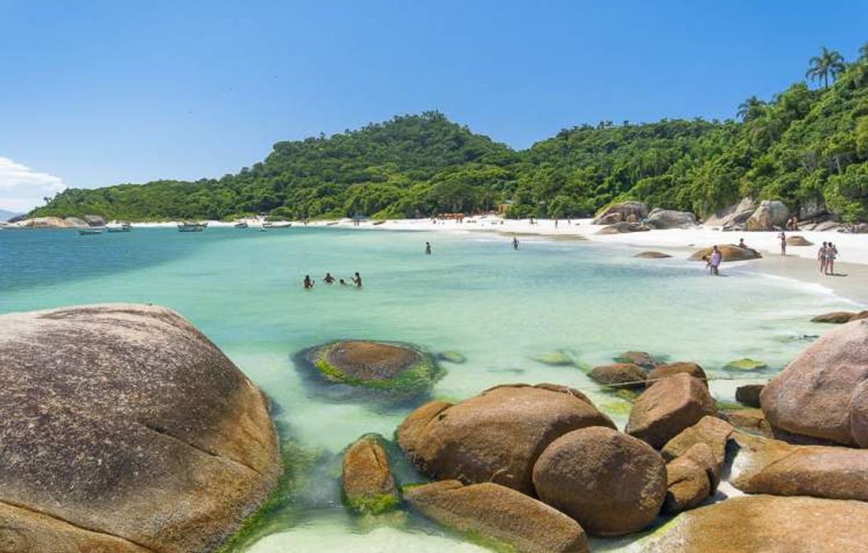 Lugar Praias de Santa Catarina