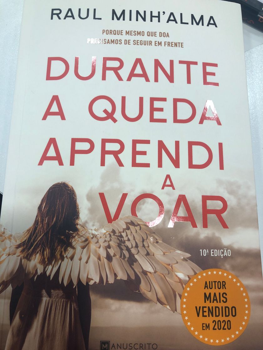Book Durante a Queda Aprendi a Voar