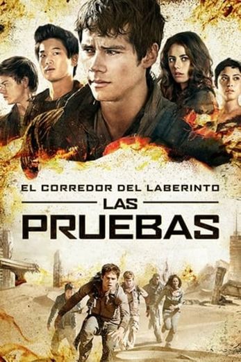 Maze Runner: The Scorch Trials