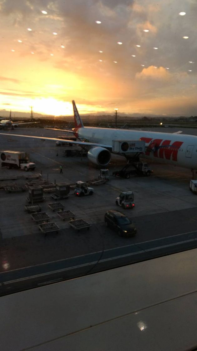 Place Aeroporto Internacional de São Paulo (GRU)