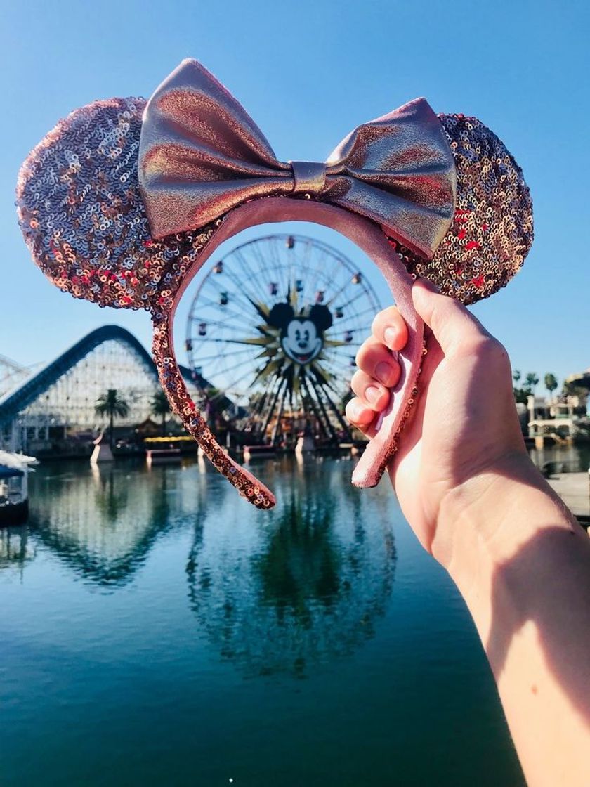 Social Disney Califórnia 🤩