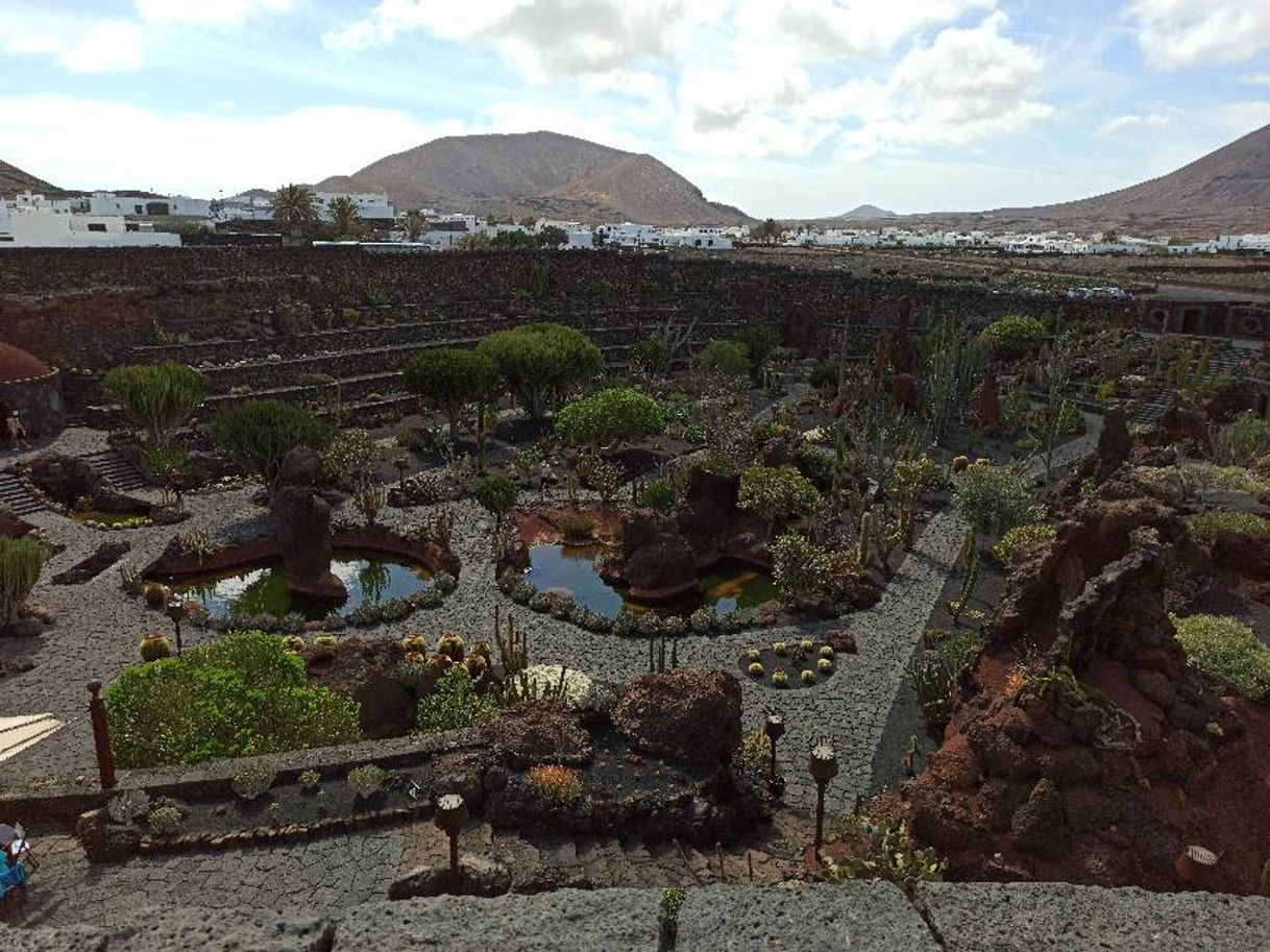 Place Jardín de Cactus de Lanzarote