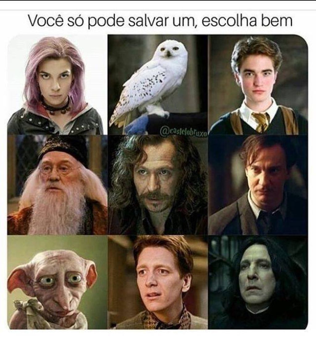 Moda Qual você escolheria? 