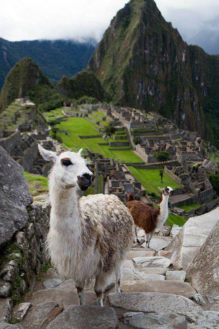 Moda Machu Picchu