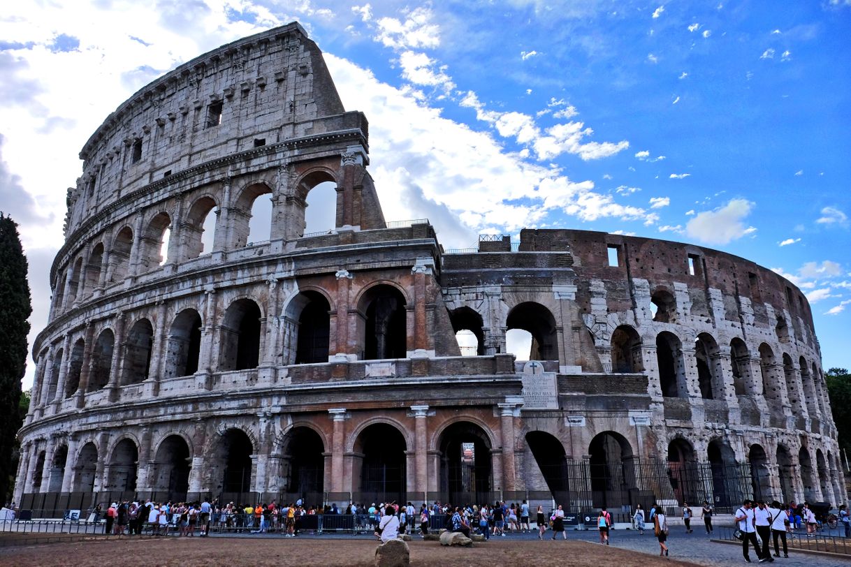 Lugar Coliseo de Roma