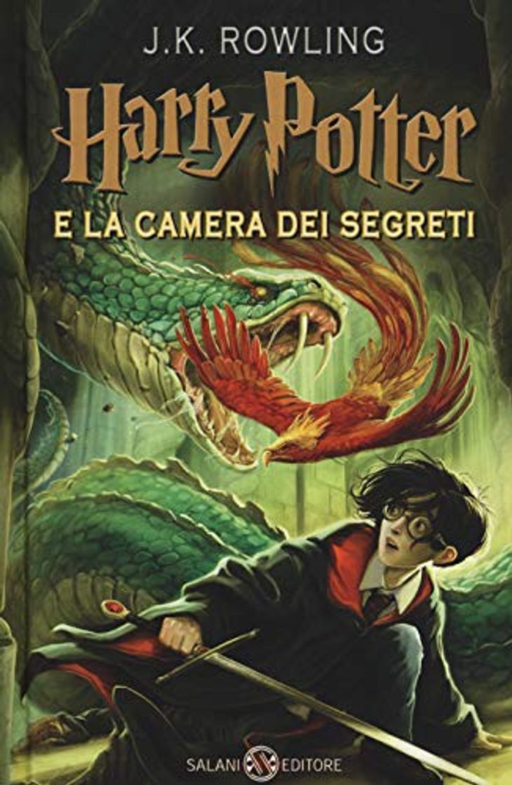 Book Harry Potter e la camera dei segreti