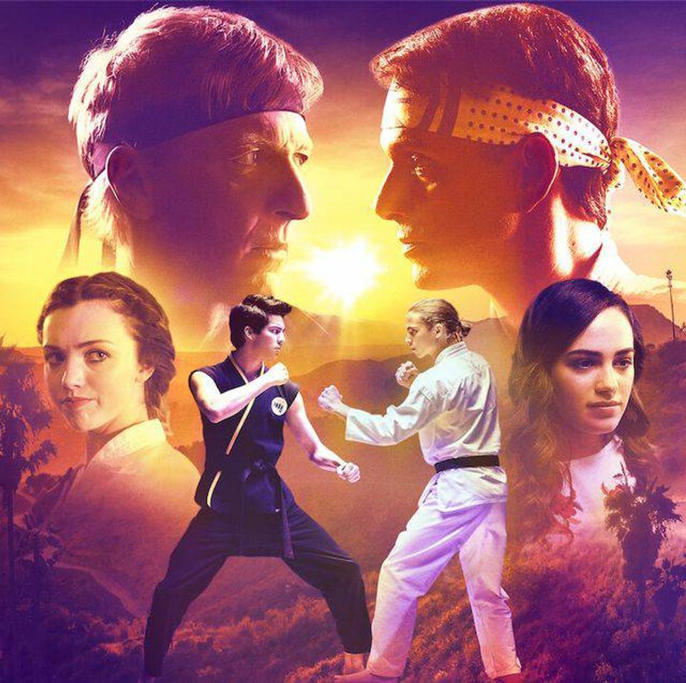 Series Cobra kai  es genial la serie es recomendada 100%