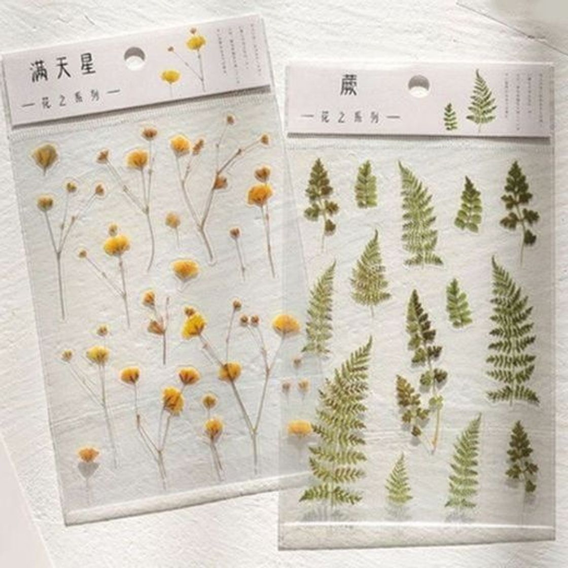 Products Nature Notebook Stickers