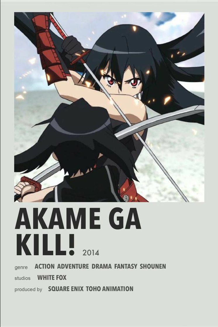 Serie Akame ga Kill!