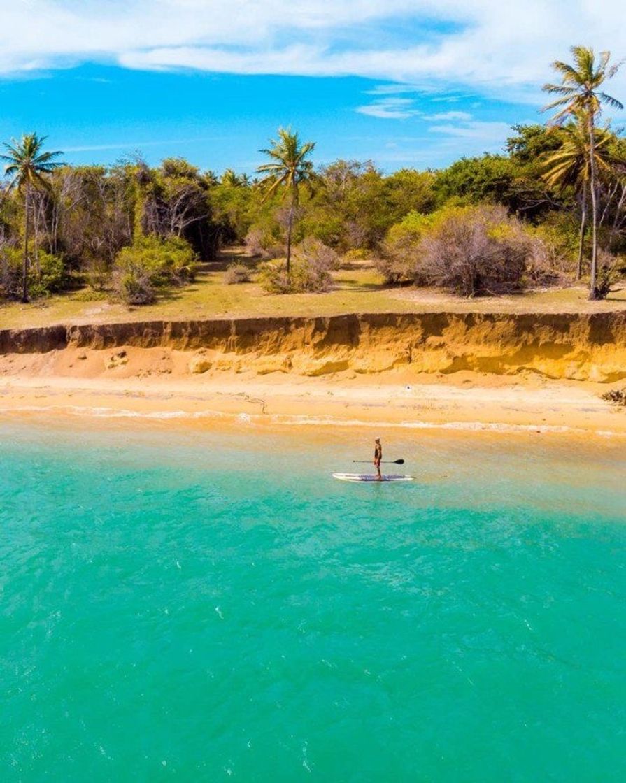 Lugar Praia da Pipa ❤️