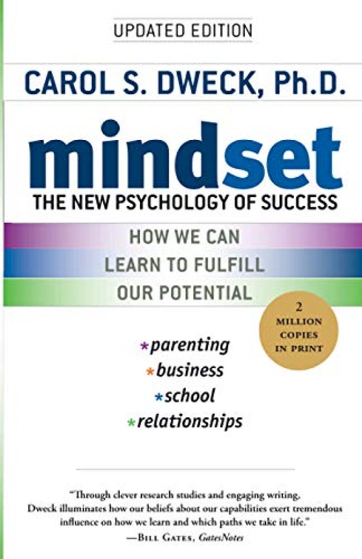 Libro Mindset