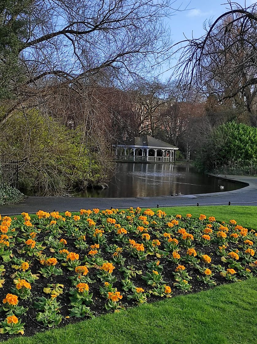 Lugar Saint Stephen's Green