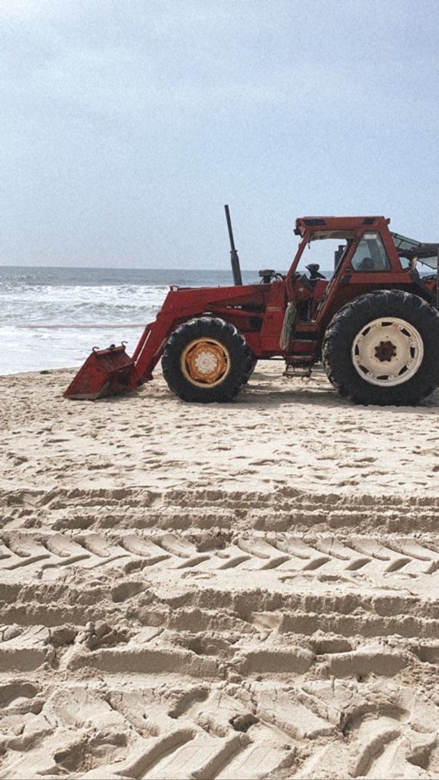 Lugar Praia de Mira