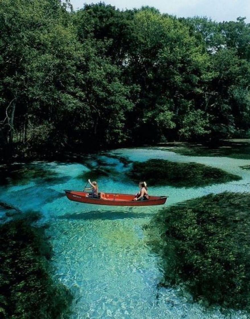 Lugar Rio Amazonas