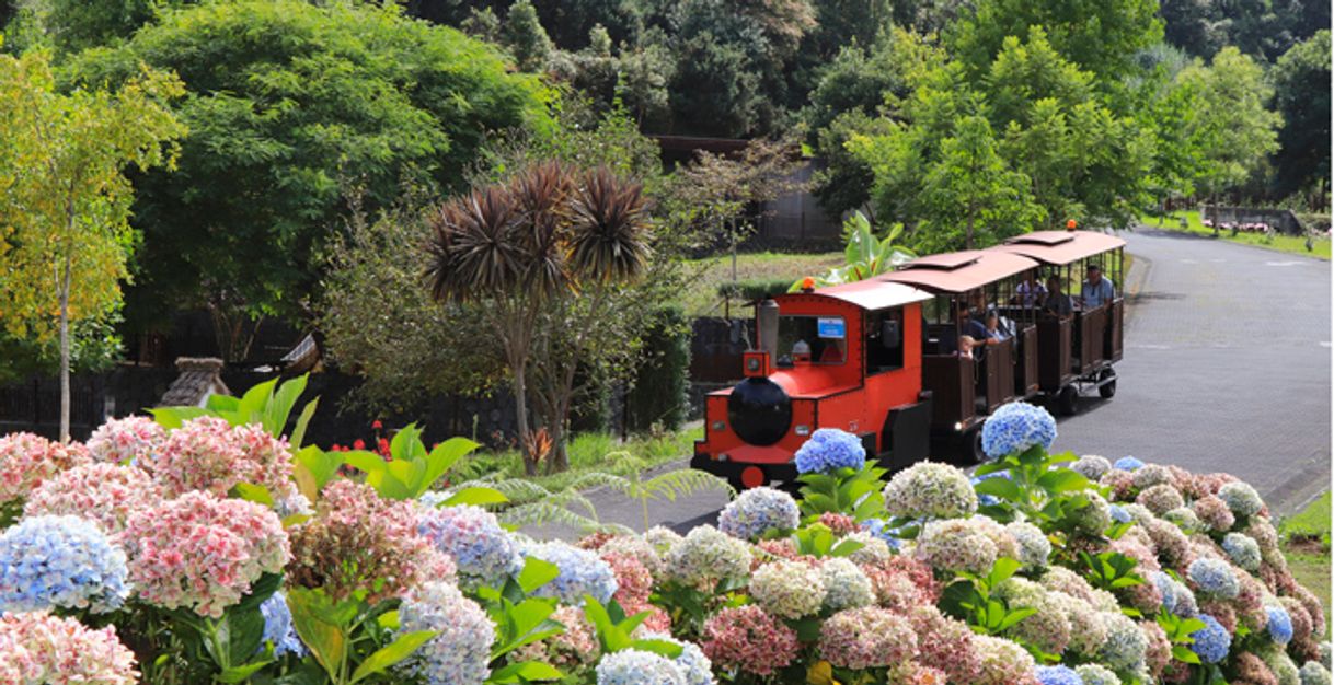 Lugar Parque Temático