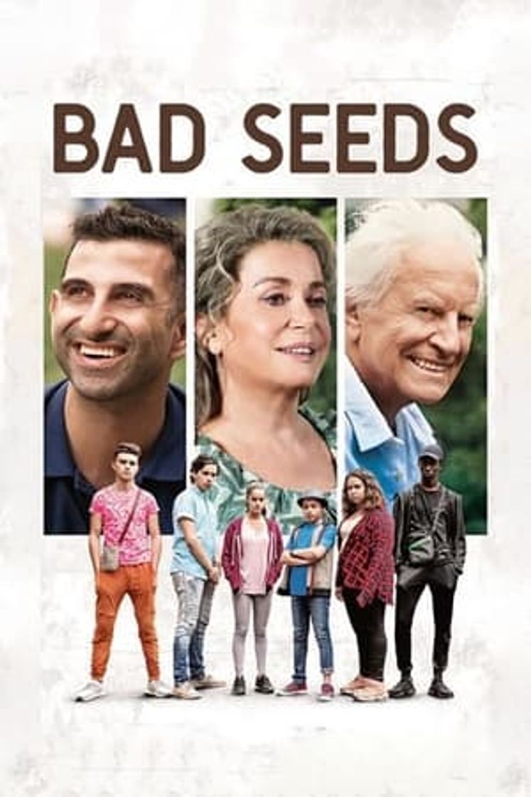 Movie Mala hierba