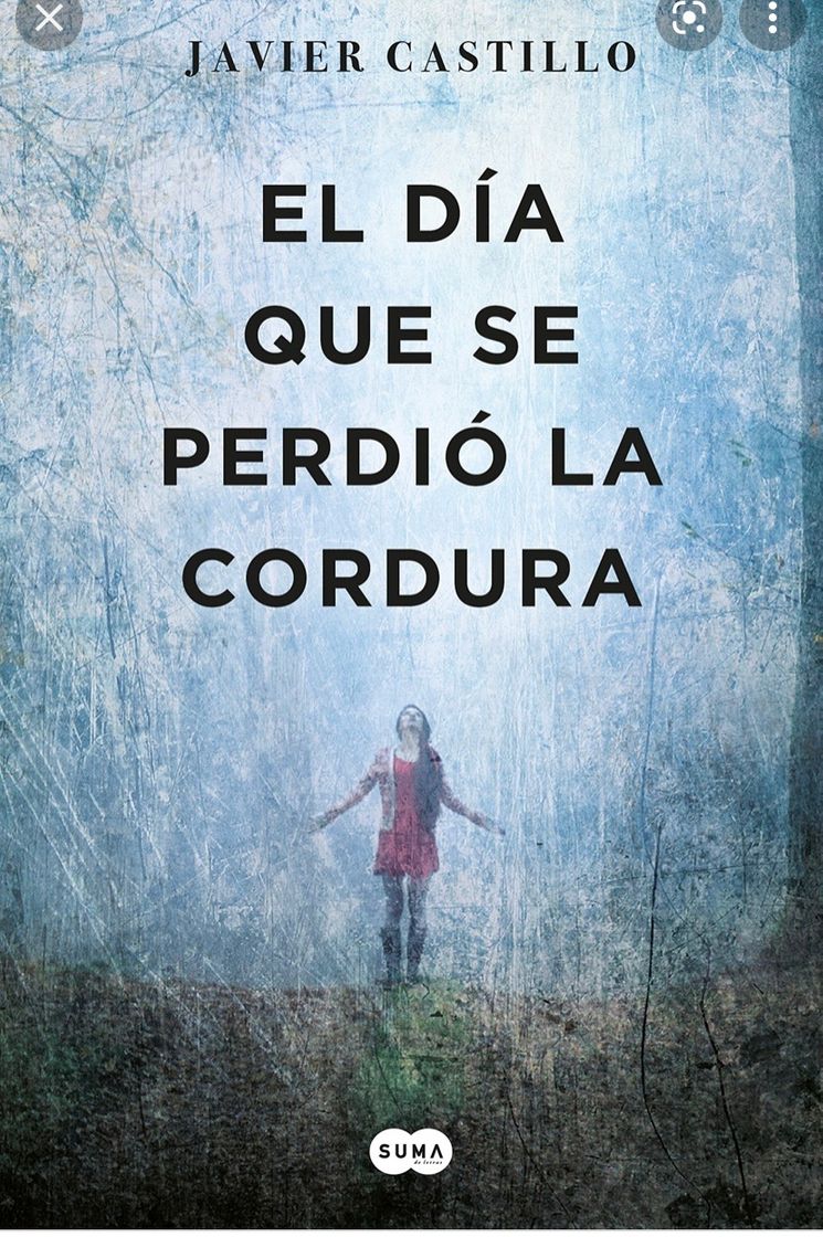 Book El día que se perdió la cordura