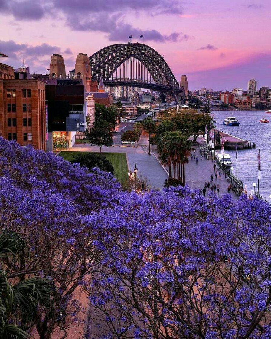 Moda Sydney, Austrália ♡