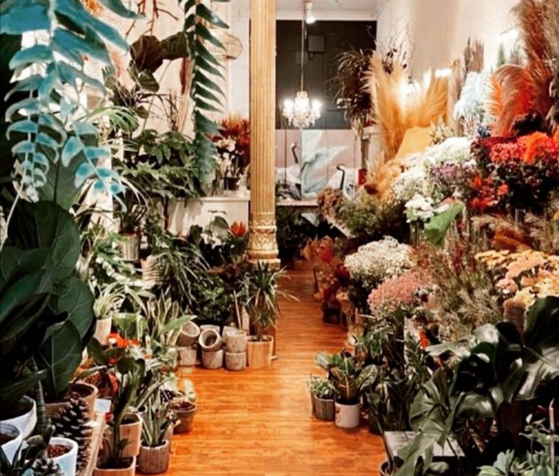 Social La Floriqueta - Floristería en Madrid