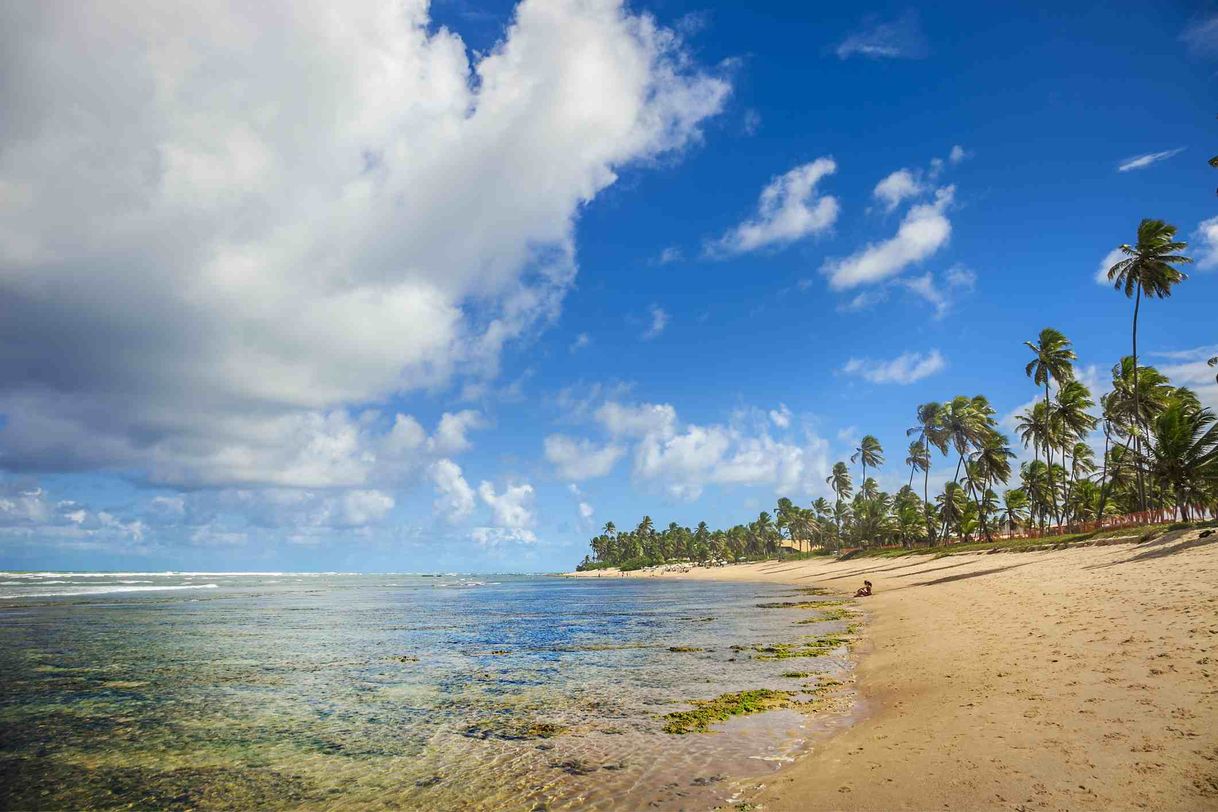 Place Praia do Forte