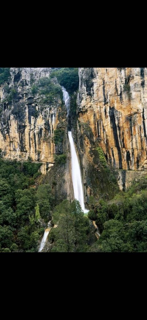 Lugar Parque Natural Sierras de Cazorla, Segura y las Villas