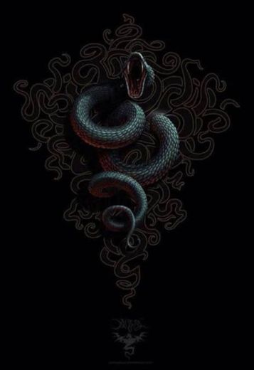 #blacksnake #black #snake