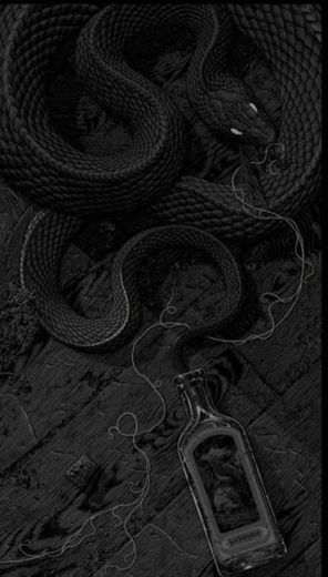 #black #blacksnake #snake 