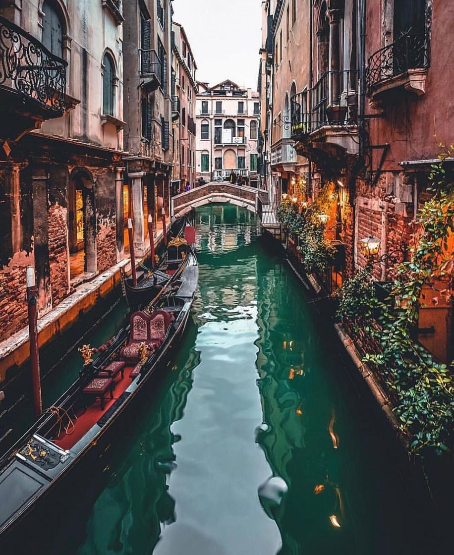 Place Venecia