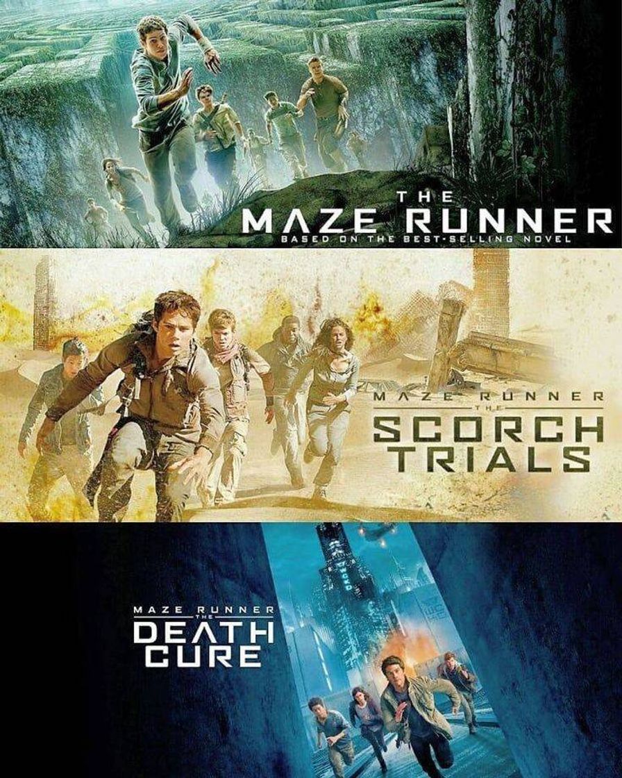 Moda Maze Runner