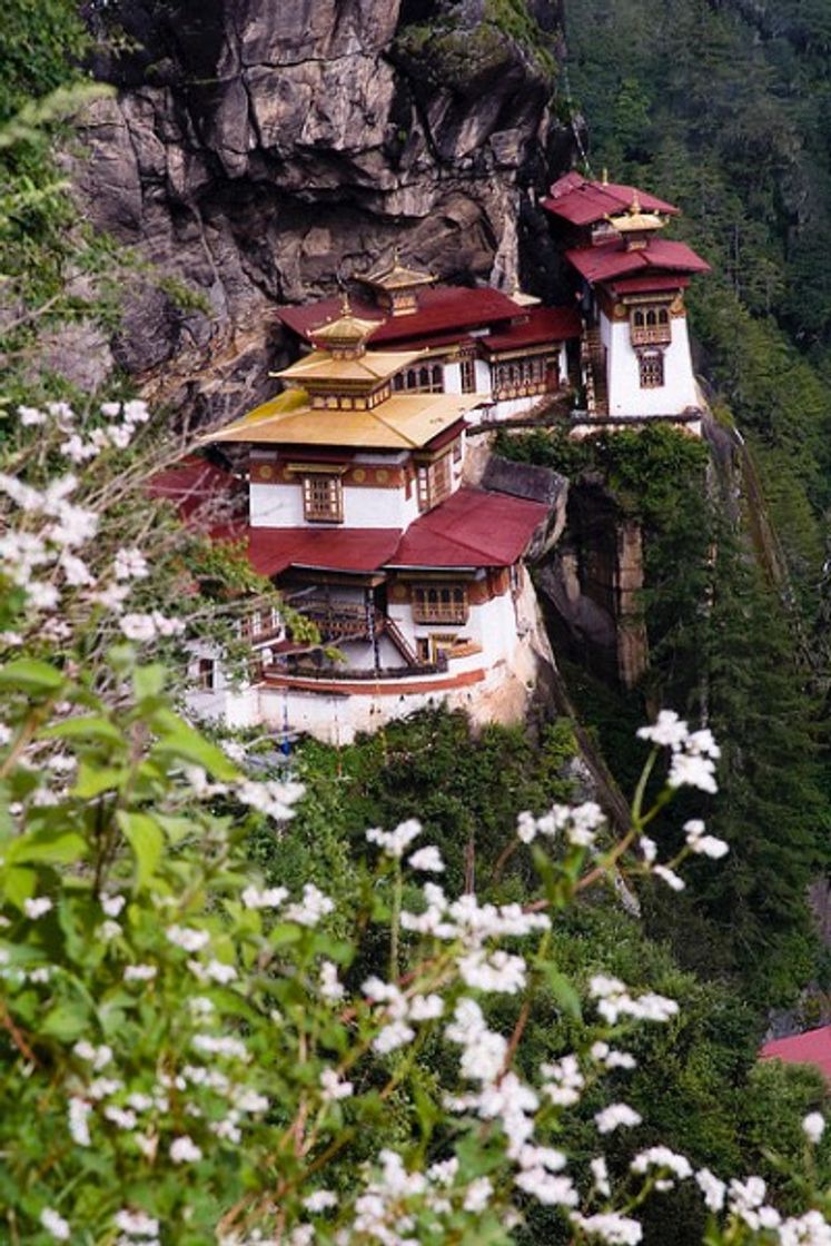 Moda Bhutan, Ásia 