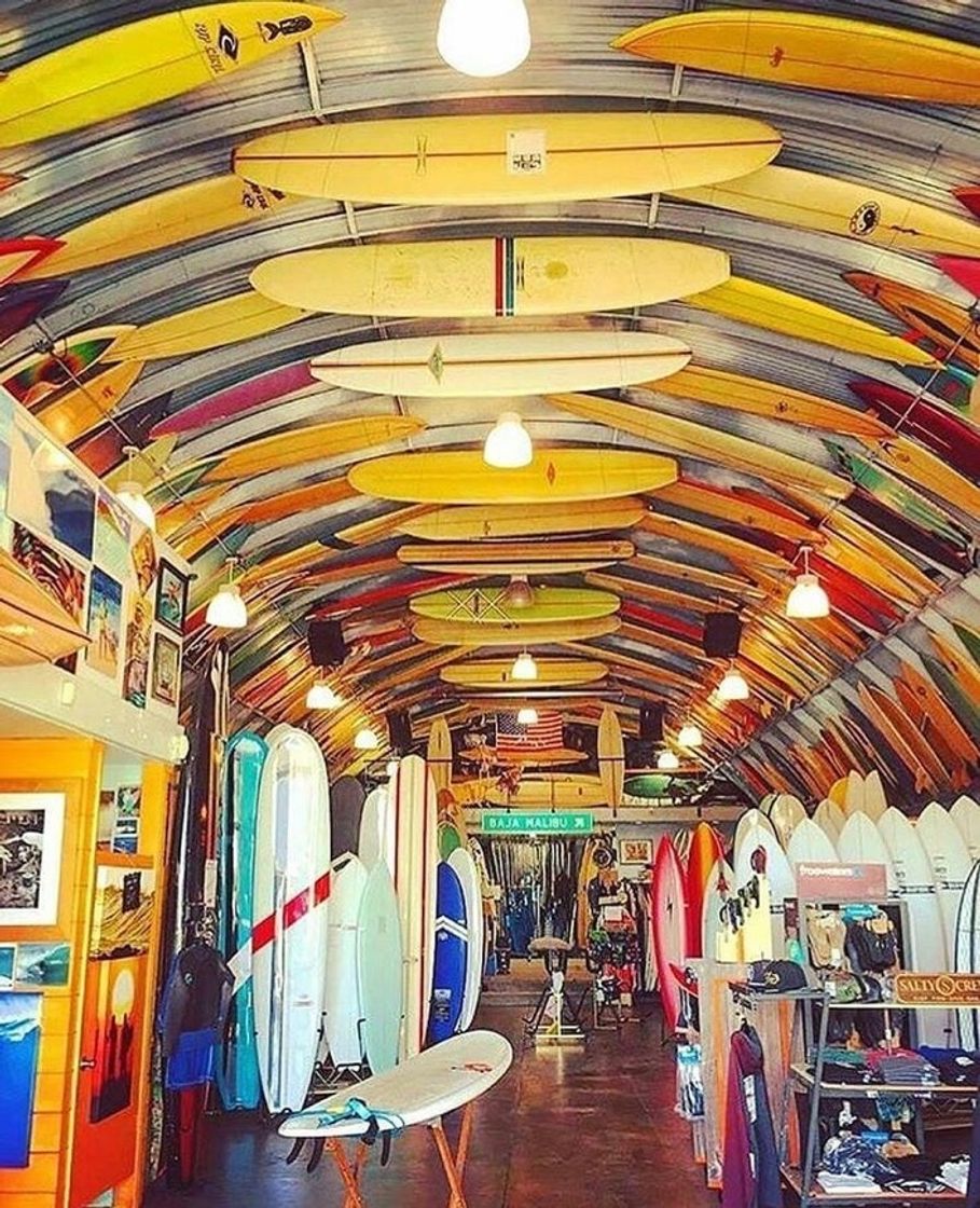 Social Surf